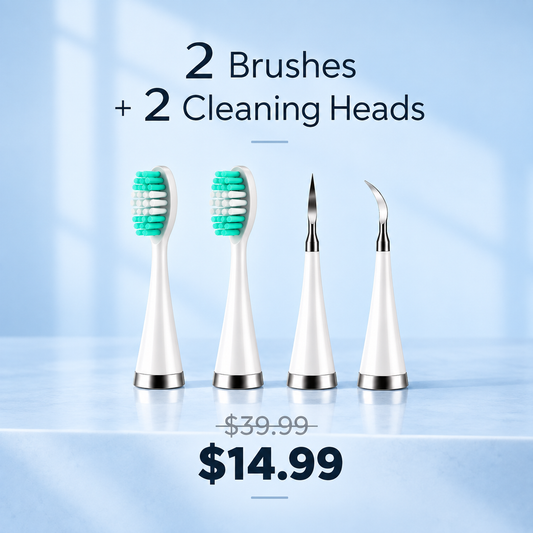 PlaqueLift Replacements 2 Brush Heads + 2 Cleaning Flat Heads
